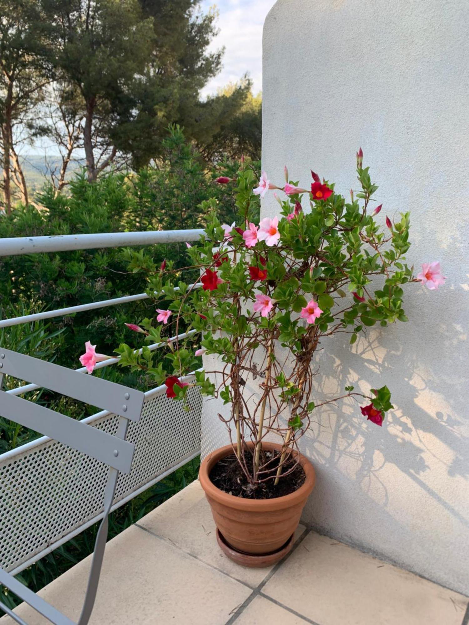 Appartement Duplex La Ciotat Exterior photo